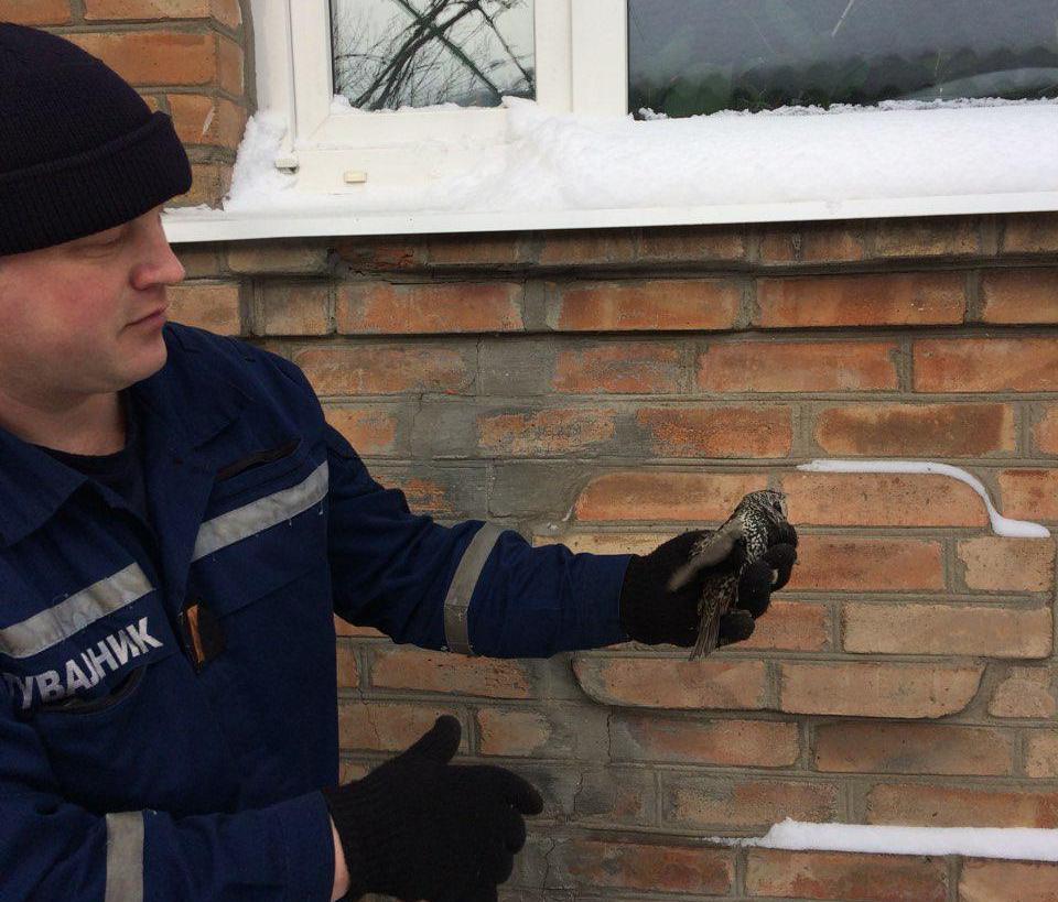 0-02-05-ca3cb40030ad0f3dd94d0f1afee5349c251468e4dd14a97424d7b748364a3f45_full