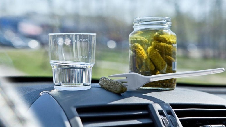 ezda-v-pyanom-vide-777x437