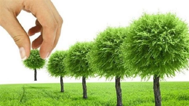 TskvCa86AtFMz749BR6N