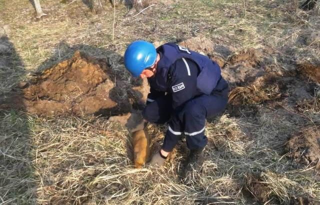 0-02-02-d594588df85b9a4db594a54bf0a979874e62b9989ac3d200ba51c31fa62c9da7_full