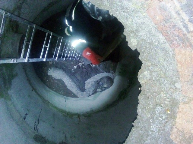 IMG-d2bd6e29ee7f18301bee78ad5c9ae7f5-V