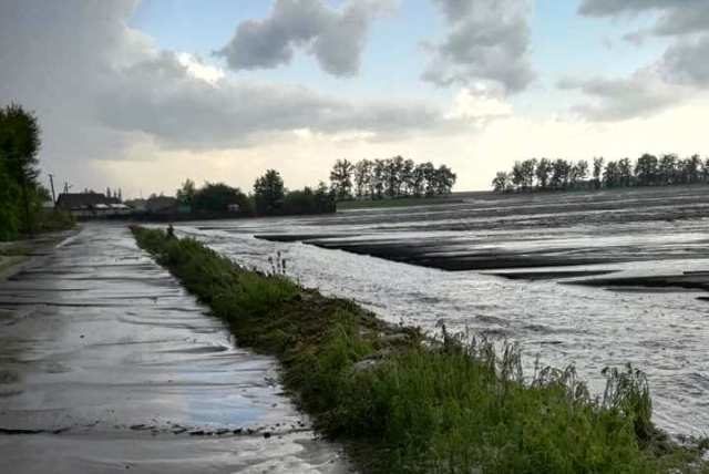 61568463_995509680652478_4359950529145602048_n