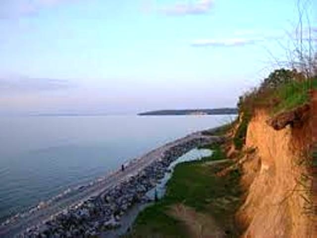 Без названия (1)