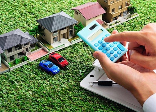 1535435244_30003zemlyatax