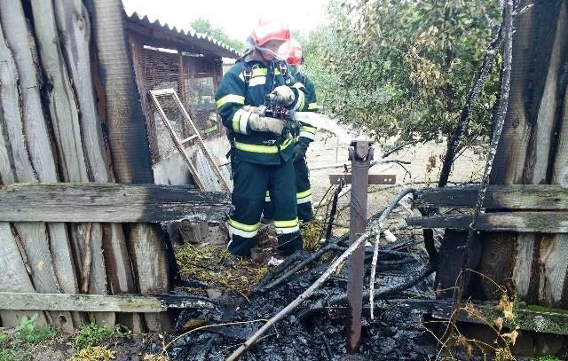 photo_2019-08-16_09-02-05