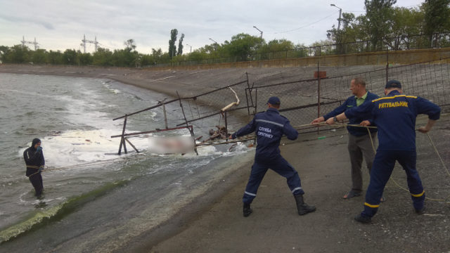 изображение_viber_2019-08-02_09-07-49