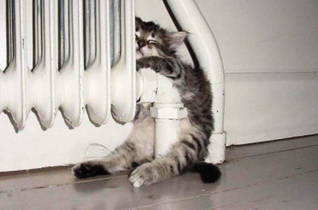 b1ac2a3317466594d9d0caeac3cfb150_w440_h290