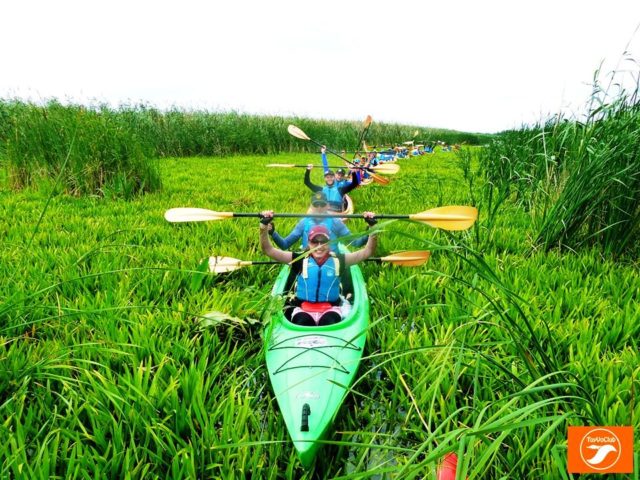 65536372_871509279882548_4771996828096790528_o