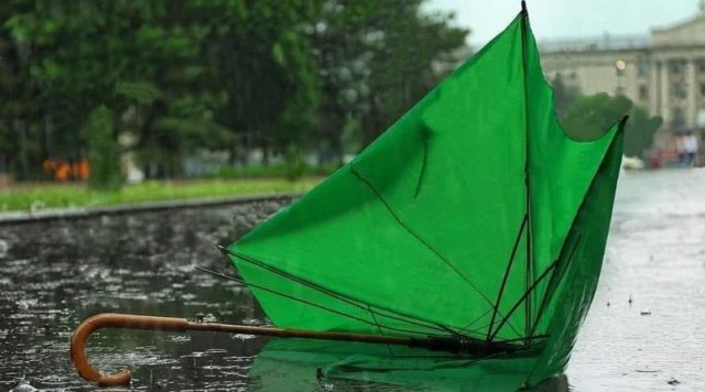 до головного1